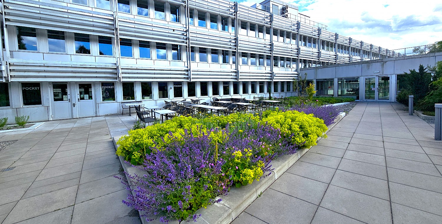 Nu blommar det runt Lidingö stadshus.