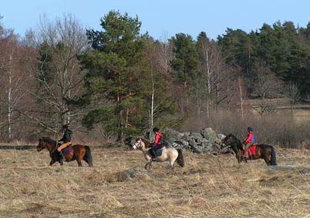 Runt Långängen finns flera ridstigar.