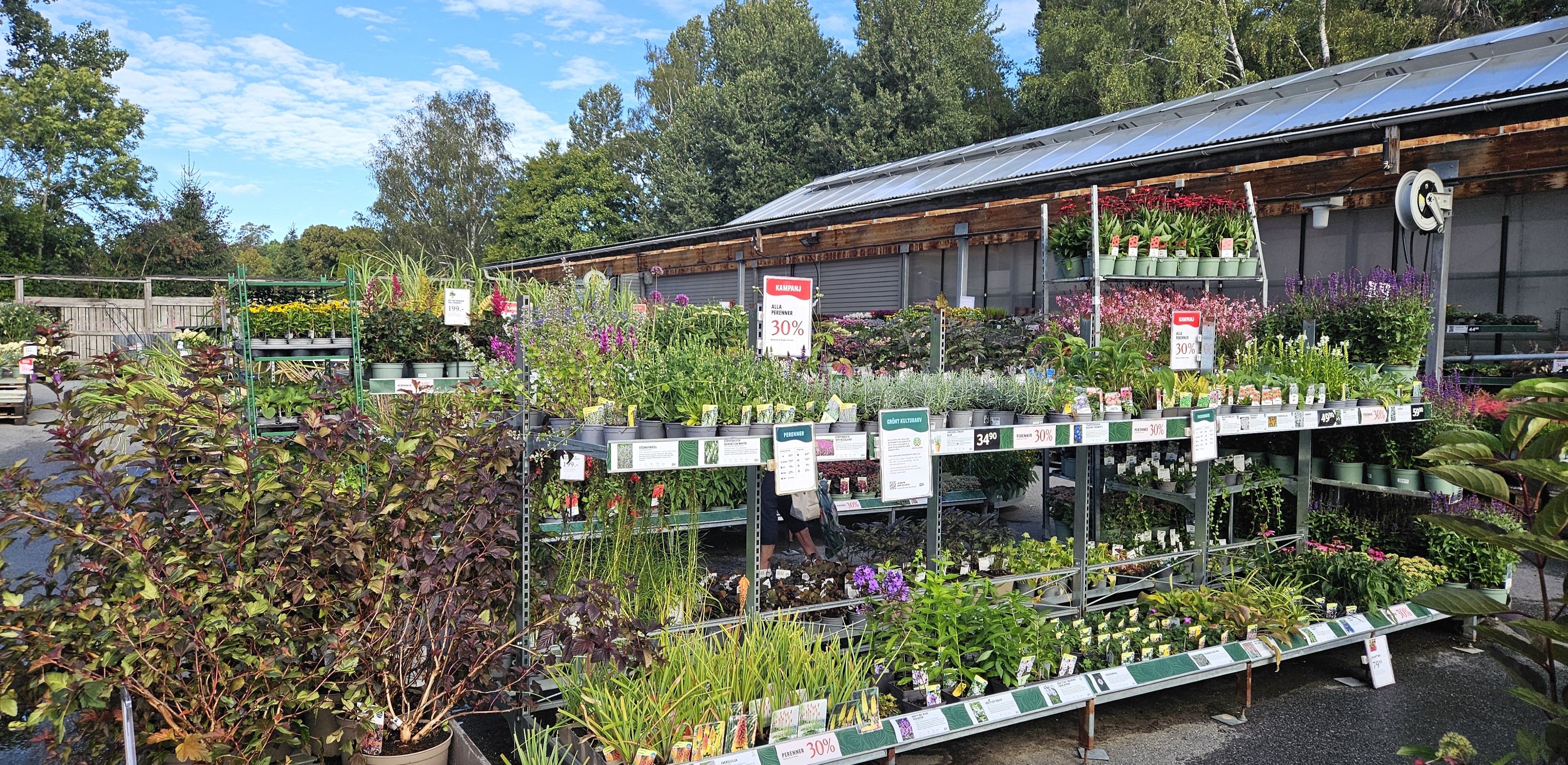 Blomsterlandet. 12 sept. 2024
