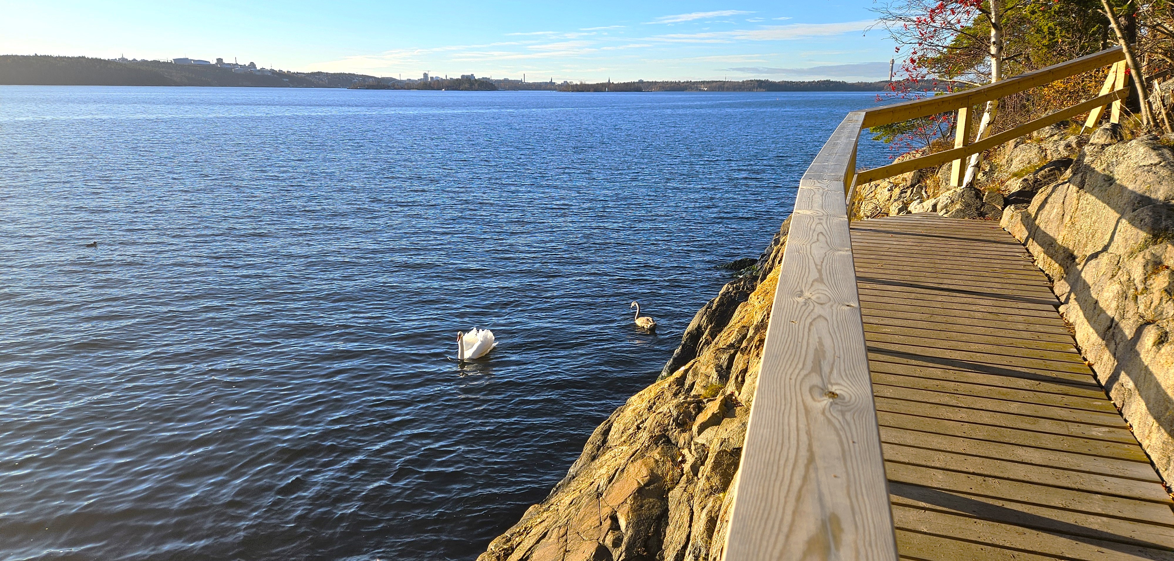 2. Stigen utmed Höggarnsfjärden mellan Breviks hamn och Sjöstigen. 16 nov. 2024