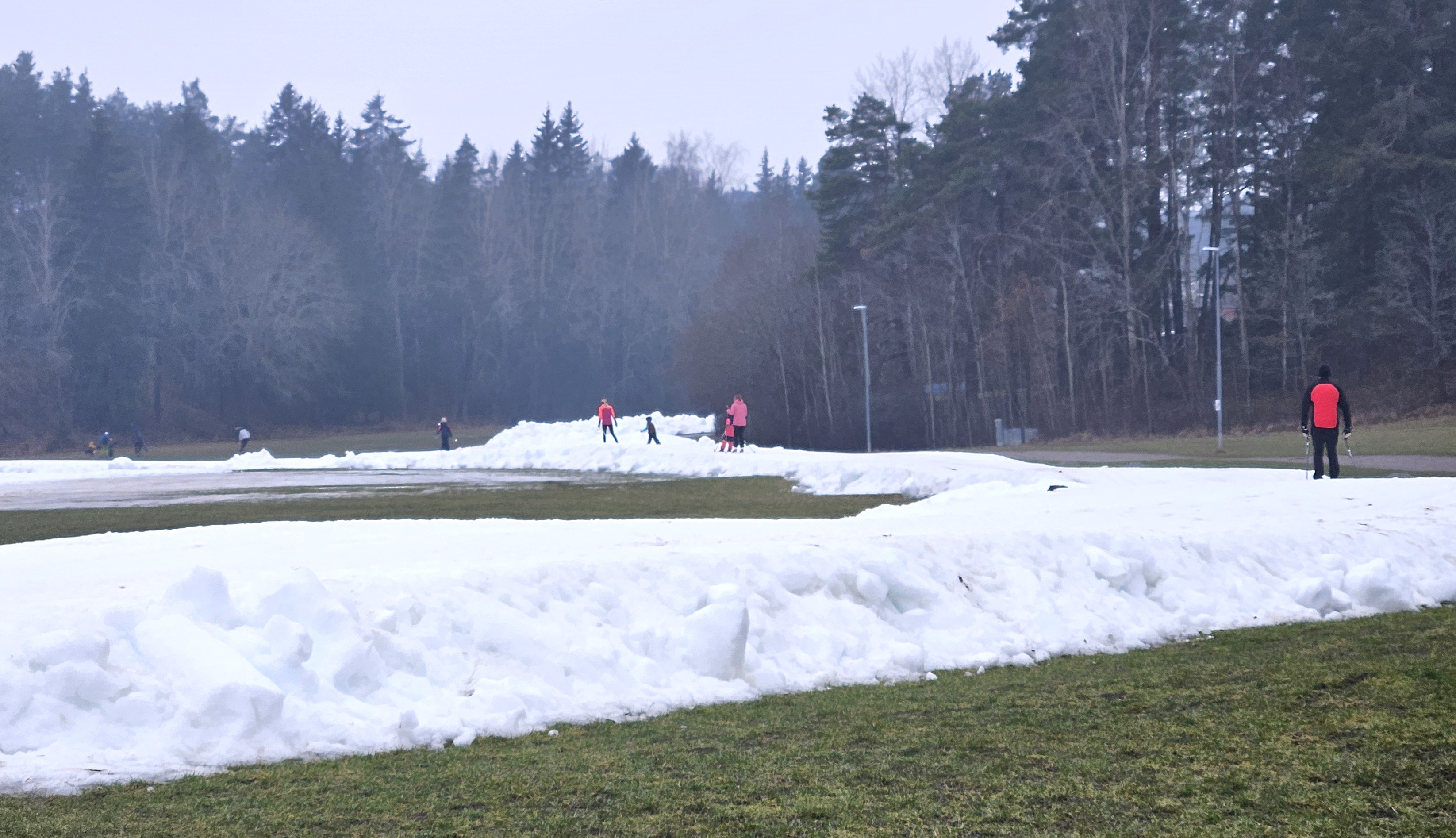 Grönsta gärde. 23 feb. 2025
