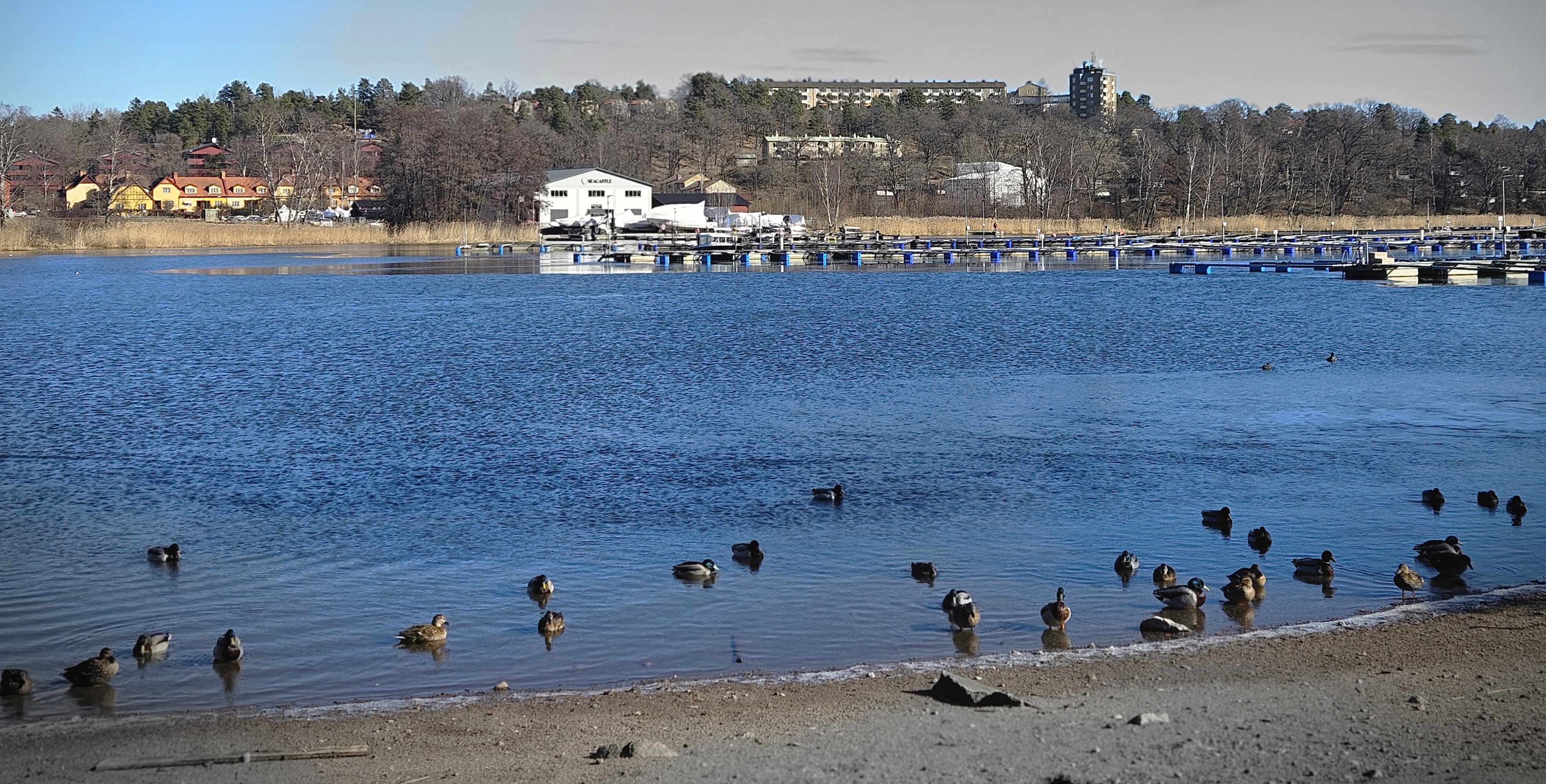 Kyrkvikens innersta, med Canada-radhusen till vänster i bakgrunden och Björnbo i mitten. 15 mars 2025