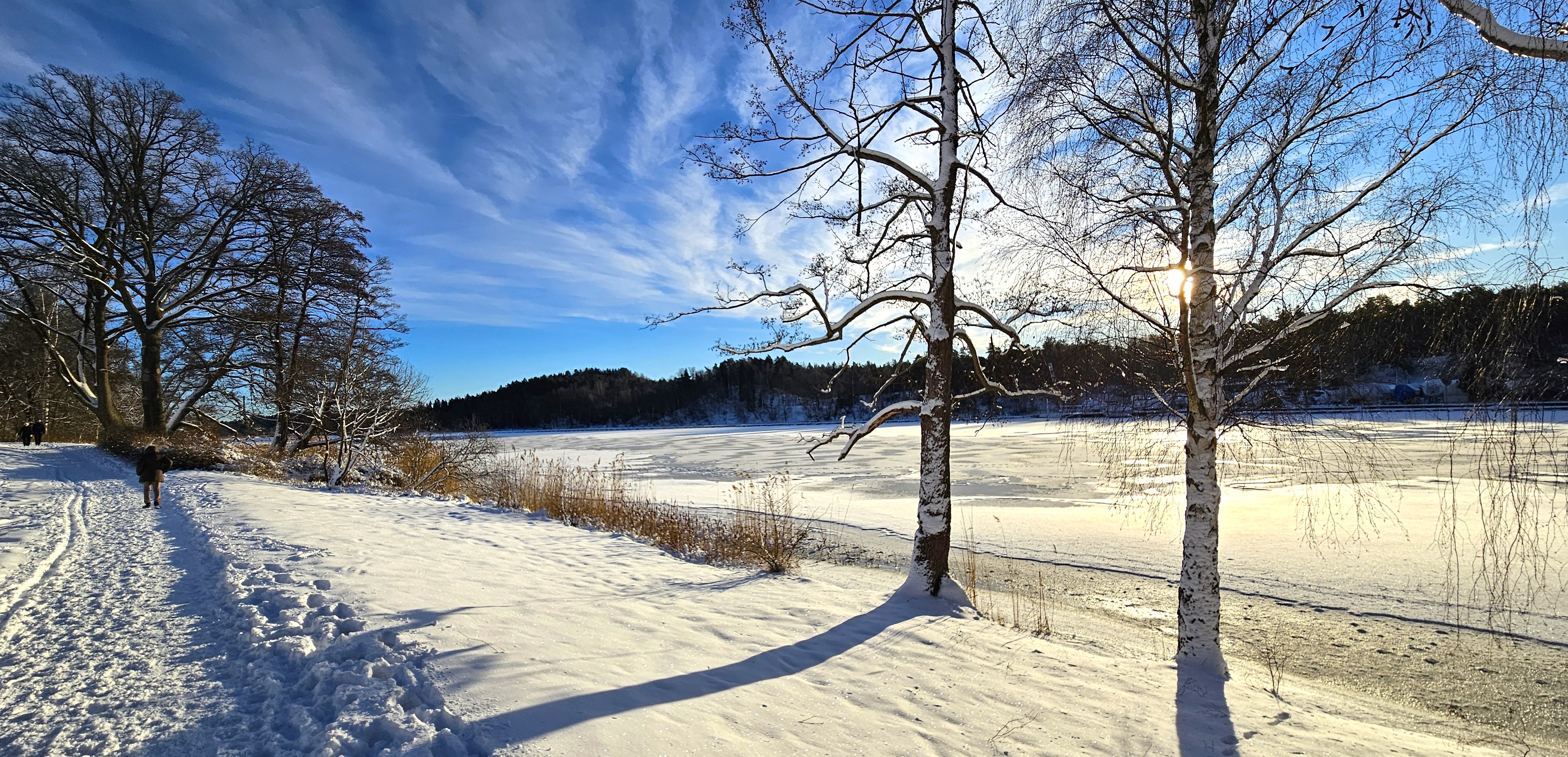 Kyrkviken, söndag, sol och snö. 12 jan. 2025