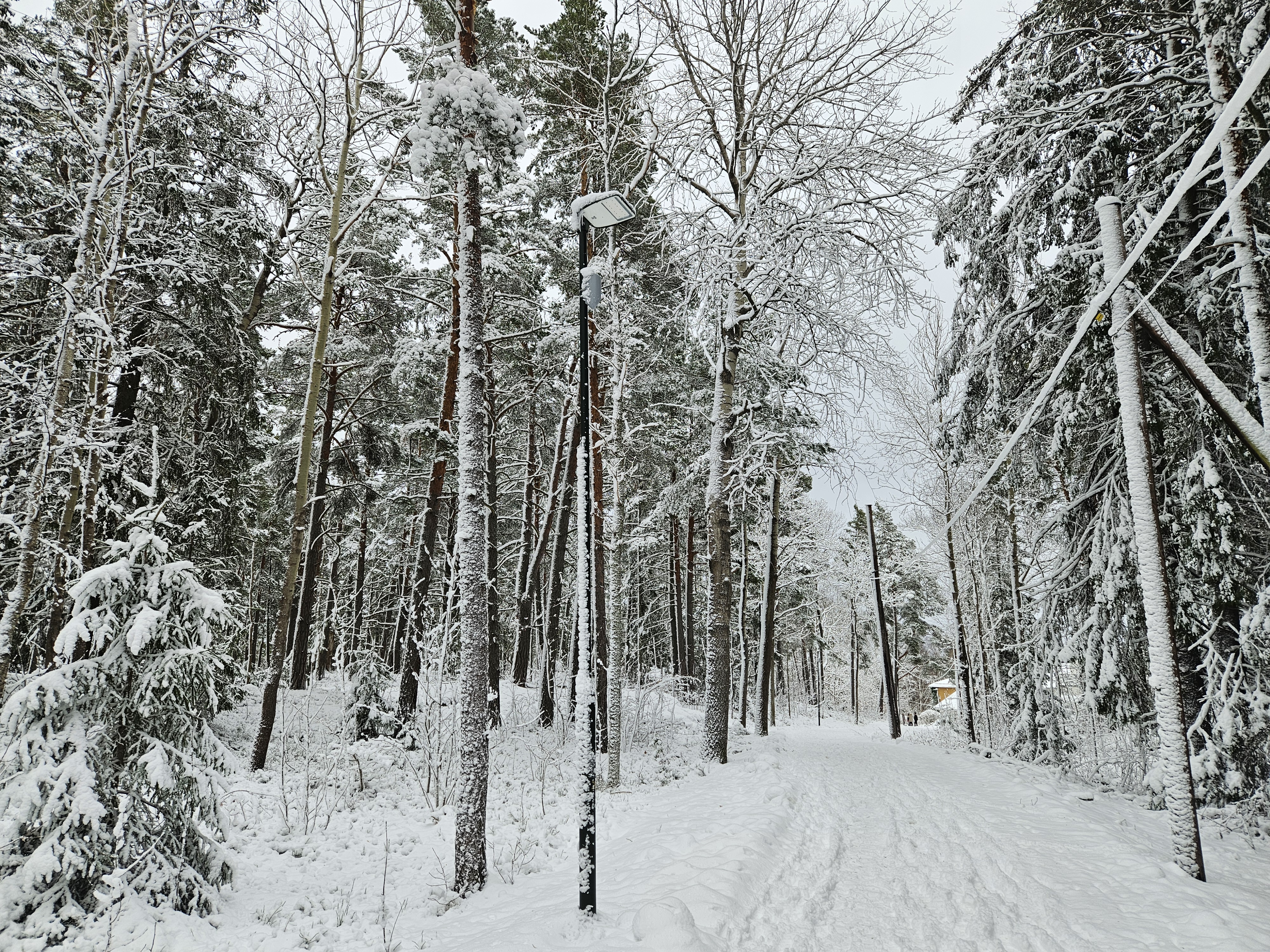 Snö, snö, snö. Gamla Ekholmsnäsvägen. 11 jan. 2025