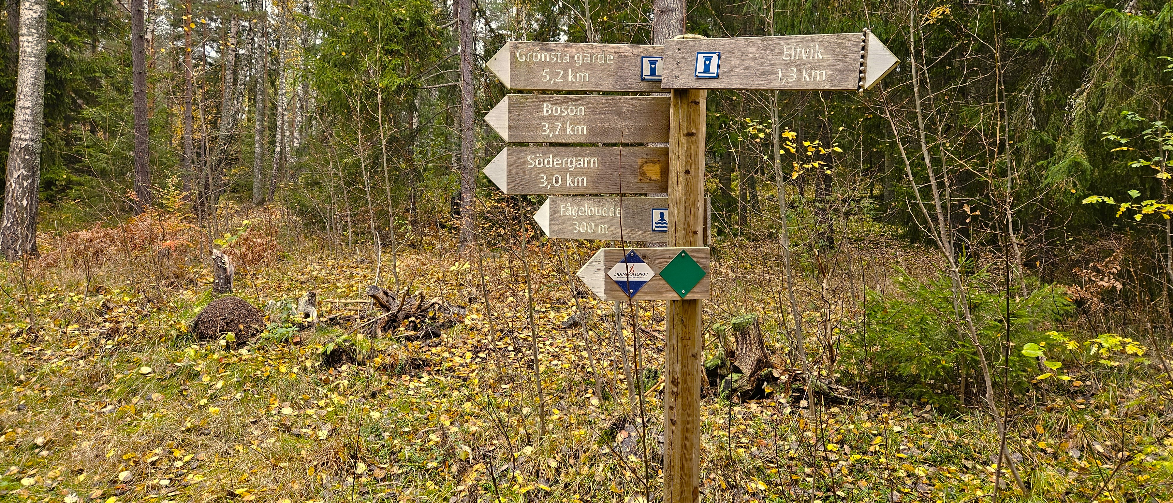 Visar vägen. 3 nov 2024