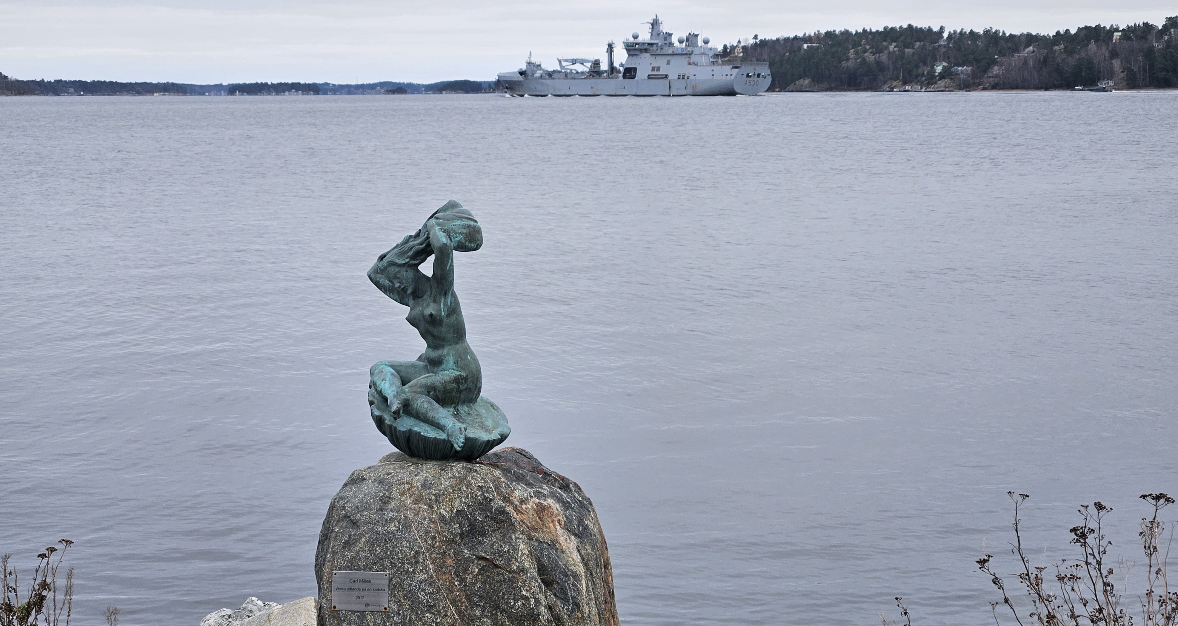 Venus på sin snäcka vänder ryggen åt det norska NATO-krigsskeppet A 530, som just passerar Gåshaga. 15 dec. 2024