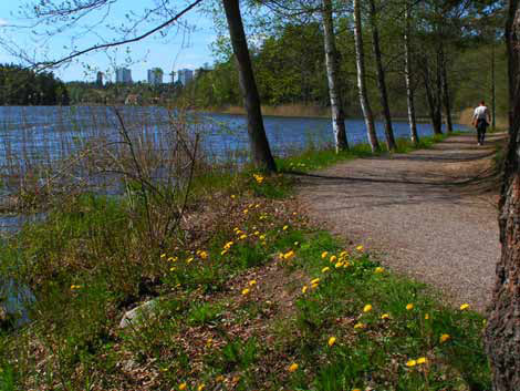 Kottlasjön i maj. I bakgrunden syns höghusen i Skärsätra.