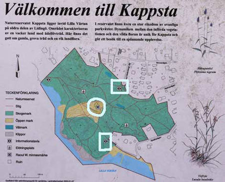 Skulpturen är placerad vid den runda ringen. Informationstavlorna vid rektanglarna. Den översta, på Raoul Wallenbergs väg, ligger närmast Skärsätra station.